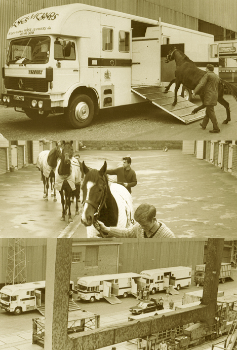 Richmonds Horse Transport History